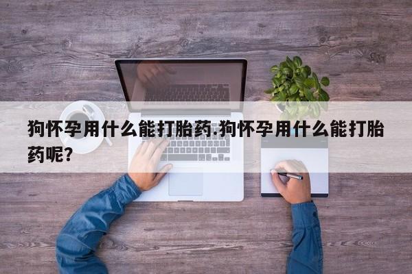 堕胎药网上购买狗怀孕用什么能打胎药.狗怀孕用什么能打胎药呢？