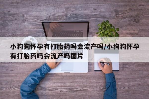 堕胎药网上购买小狗狗怀孕有打胎药吗会流产吗/小狗狗怀孕有打胎药吗会流产吗图片