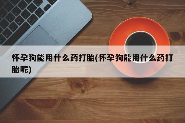 堕胎药网上购买怀孕狗能用什么药打胎(怀孕狗能用什么药打胎呢)