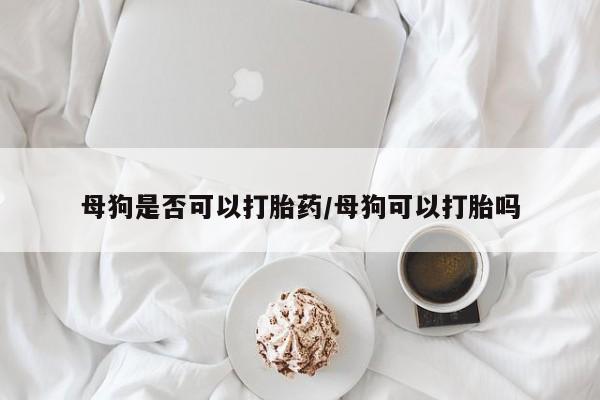 堕胎药网上购买母狗是否可以打胎药/母狗可以打胎吗